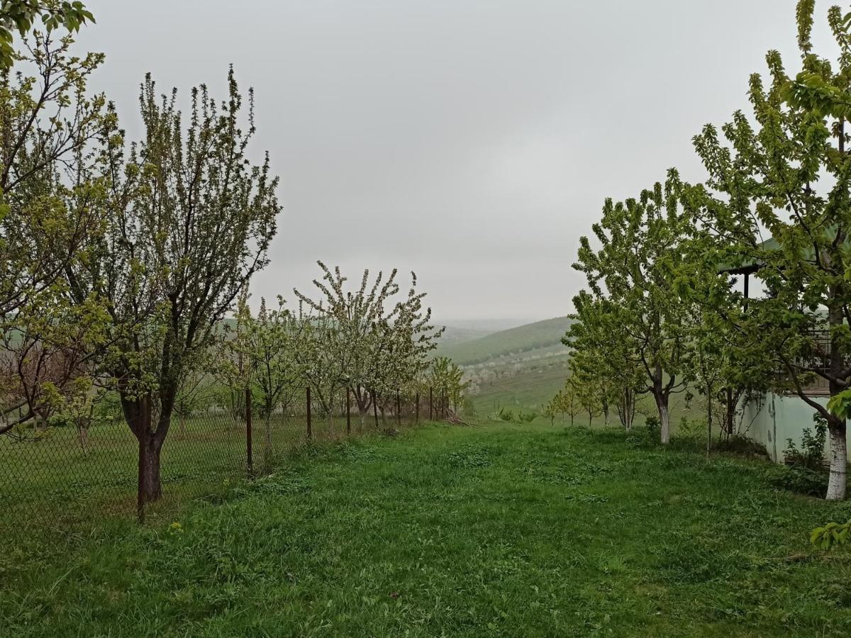 구바 La Casa De Habel 빌라 외부 사진