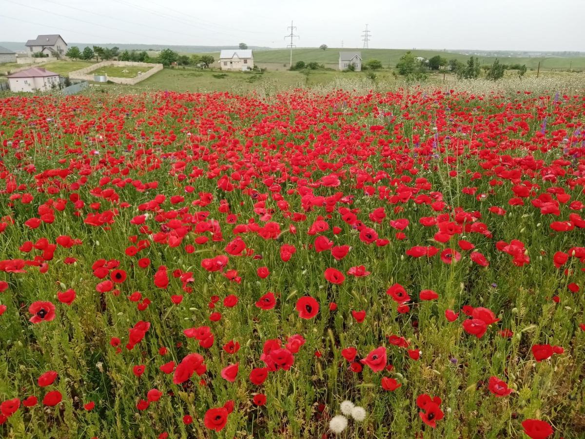 구바 La Casa De Habel 빌라 외부 사진