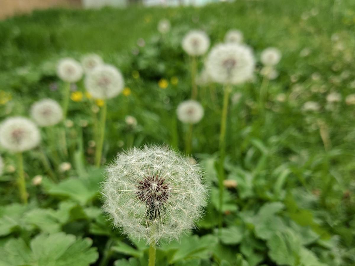 구바 La Casa De Habel 빌라 외부 사진