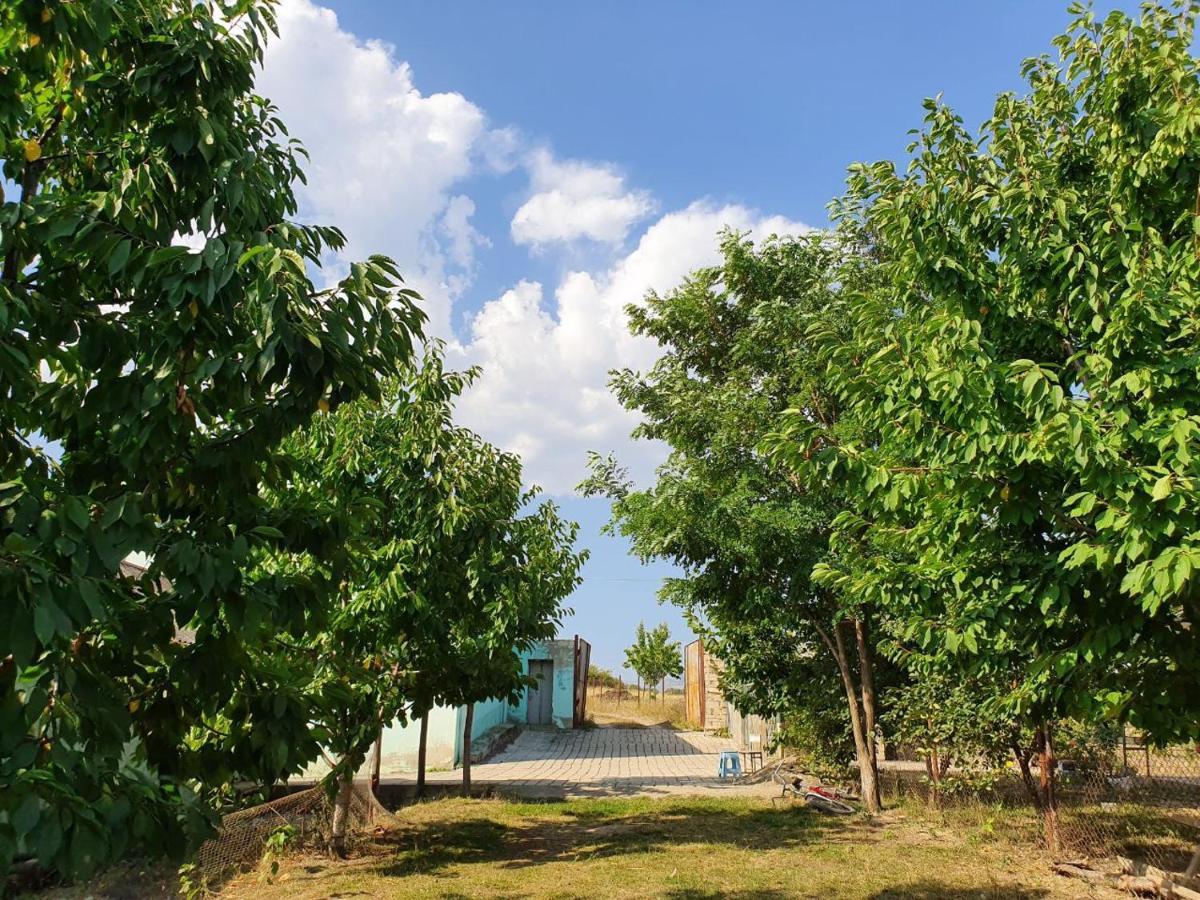 구바 La Casa De Habel 빌라 외부 사진